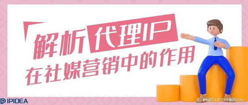 代理IP与代理服务 社媒营销中的隐形引擎